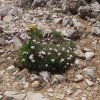 Algarve_2016