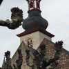 Ruedesheim_2016