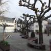 Ruedesheim_2016