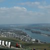 Ruedesheim_2016