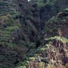 Madeira_2017