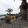 Madeira_2017