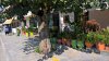 Chalkidiki_n