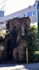 Fulda_n