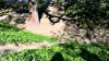 Fulda_n