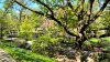Fulda_n