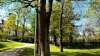 Fulda_n