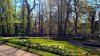 Fulda_n