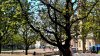 Fulda_n