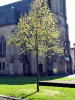 Fulda_n