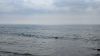 Boulogne-sur-Mer