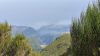 Madeira
